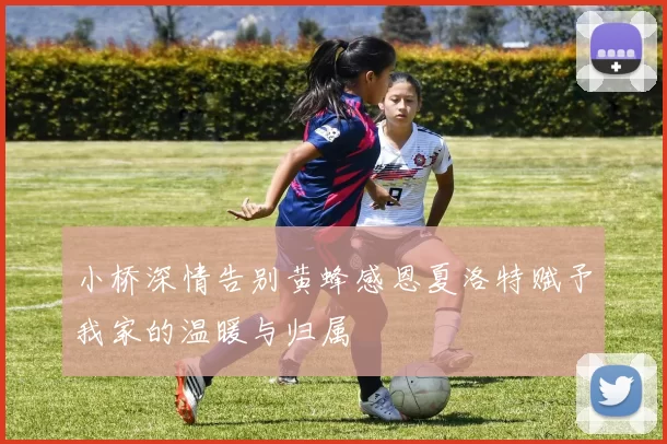 小桥深情告别黄蜂感恩夏洛特赋予我家的温暖与归属